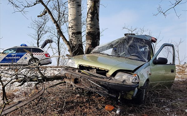 Fának csapódott és meghalt egy autós Pirtó közelében