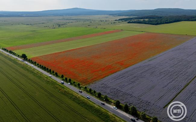 Agrometeorológia: nagy szükség lenne a májusi esőre
