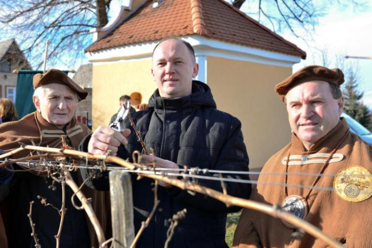 Vince napi vesszővágással jósolták meg az idei termést Móron